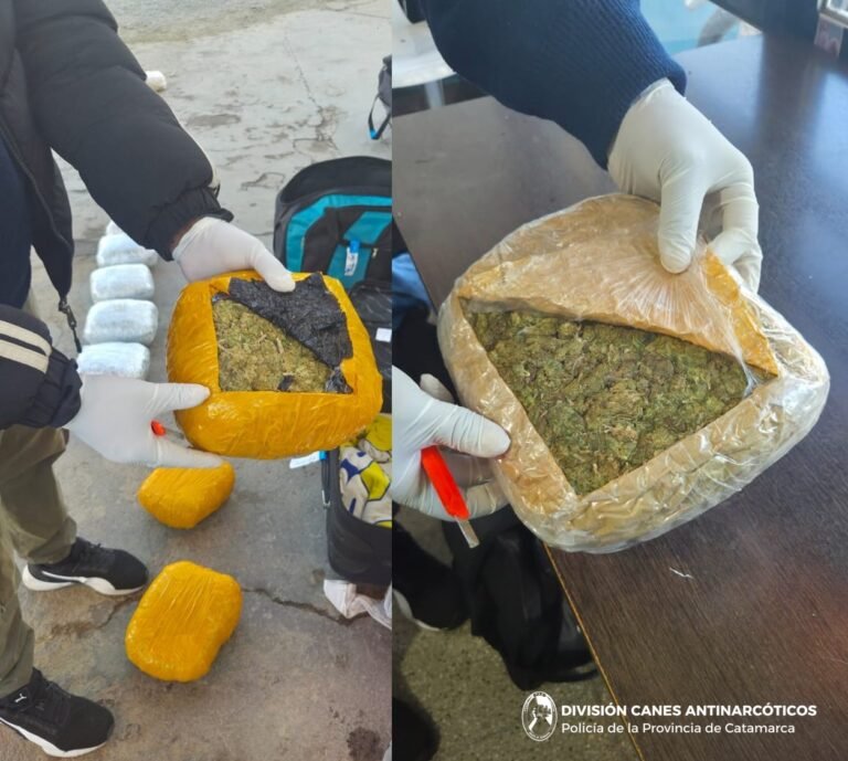 ANTI NARCÓTICOS SECUESTRA IMPORTANTE CANTIDAD DE DROGA