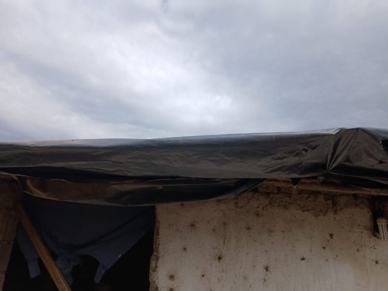 ABANDONADA Y SIN AYUDA EN PLENO TEMPORAL EN LOS ALTOS